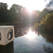 Möllner Kurpark an einem sonnigen Novembertag DSC_4683 © Natascha Pätzold.JPG