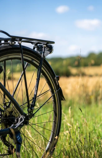 Ausflug mit dem Fahrrad _Grenztour 2_Sh-Tourismus_MOCANOX.jpg