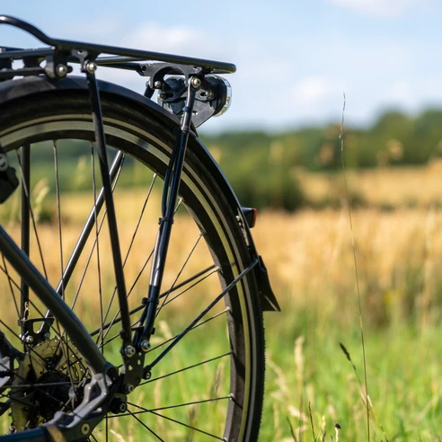 Ausflug mit dem Fahrrad _Grenztour 2_Sh-Tourismus_MOCANOX.jpg