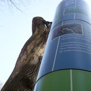 mölln leitsystem ner 84.JPG