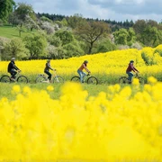 TdG Fahrradfahrer im Rapsfeld_Tour de Grass.jpg