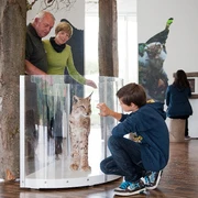 Ausstellung NationalparkZentrum