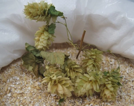 Brauerei Vitznau.jpg