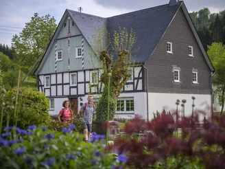 Wandern in Milchenbach