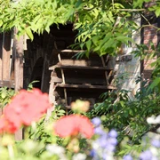 mühlrad-blumen.jpg