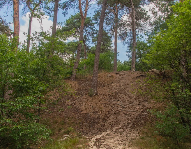 HAR022_Eierkullerberg_AnjaPoker_2.jpg