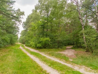 HAR022_Eierkullerberg_AnjaPoker_1.jpg