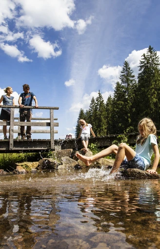 Familie an der Brücke im Schwarzbachtal
