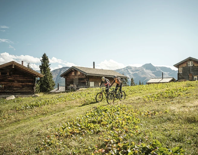 Mountainbike in der Aletsch Arena - Fiescheralp-Fiesch Mountainbike in der Aletsch Arena - Fiescheralp-Fiesch