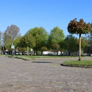 IMG_4836.JPG