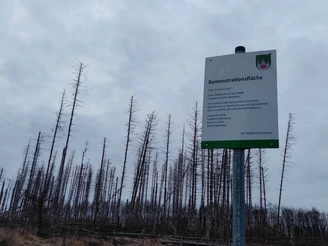 Ein Schild beschreibt eine Demonstrationsfläche mit kahlen, vertrockneten Baumstämmen im Hintergrund.