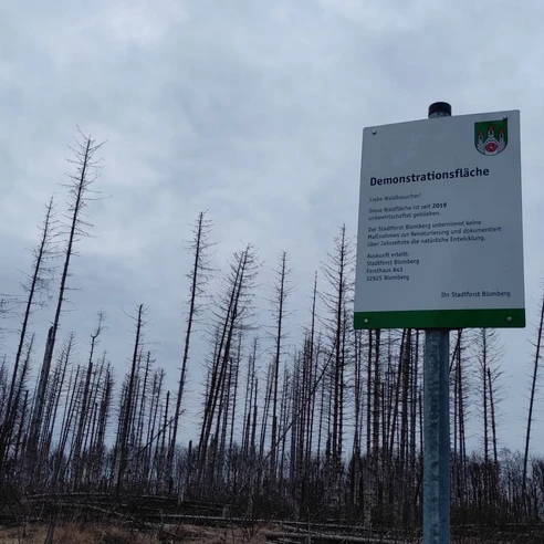 Ein Schild beschreibt eine Demonstrationsfläche mit kahlen, vertrockneten Baumstämmen im Hintergrund.