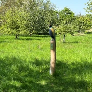 Fasan Ein detailgetreuer Fasan, dargestellt auf einem Holzpfahl inmitten einer grünen Wiese mit Bäumen.