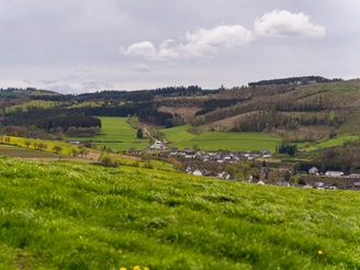 Blick auf Albaum