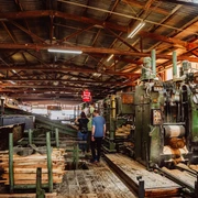 Saegewerk Zuefle Holzverarbeitung Vom Baumstamm Zum Blockhaus Fuehrung Saegebereich Saegewerk Zuefle Holzverarbeitung Vom Baumstamm Zum Blockhaus Fuehrung Saegebereich