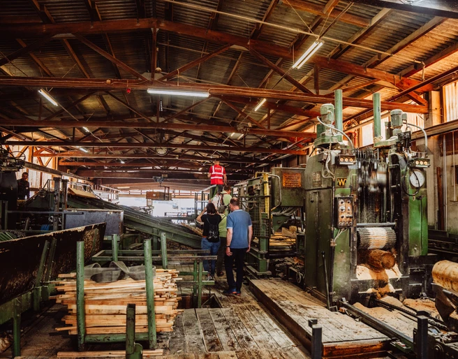 Saegewerk Zuefle Holzverarbeitung Vom Baumstamm Zum Blockhaus Fuehrung Saegebereich Saegewerk Zuefle Holzverarbeitung Vom Baumstamm Zum Blockhaus Fuehrung Saegebereich