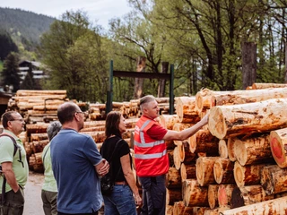 Saegewerk Zuefle Holzverarbeitung Vom Baumstamm Zum Blockhaus Fuehrung Baumstaemme Saegewerk Zuefle Holzverarbeitung Vom Baumstamm Zum Blockhaus Fuehrung Baumstaemme