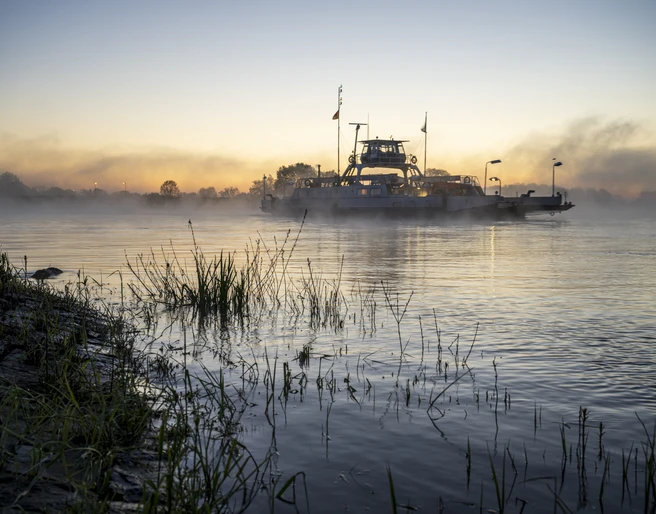 Elbfähre Tanja am frühen Morgen Elbfähre Tanja am frühen Morgen