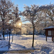 Gesundheitspavillon Willingen in verschneiter Winterlandschaft bei Sonnenschein  Gesundheitspavillon Willingen in verschneiter Winterlandschaft bei Sonnenschein