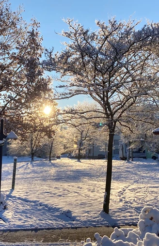 Gesundheitspavillon Willingen in verschneiter Winterlandschaft bei Sonnenschein  Gesundheitspavillon Willingen in verschneiter Winterlandschaft bei Sonnenschein