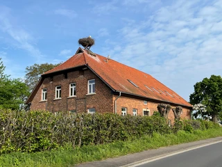 Backsteinhaus mit rotem Dach in ländlicher Umgebung, auf dem Dach ein Storchennest unter blauem Himmel.