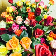 Roses de Weggis Weggiser RosenWeggis rosesRoses de Weggis
