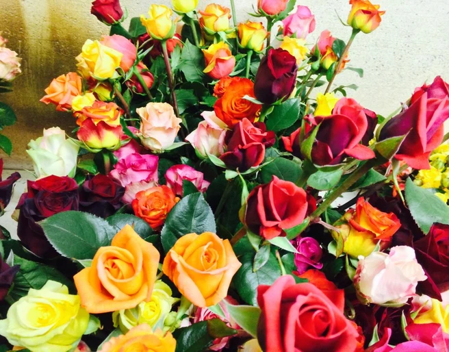 Roses de Weggis Weggiser RosenWeggis rosesRoses de Weggis