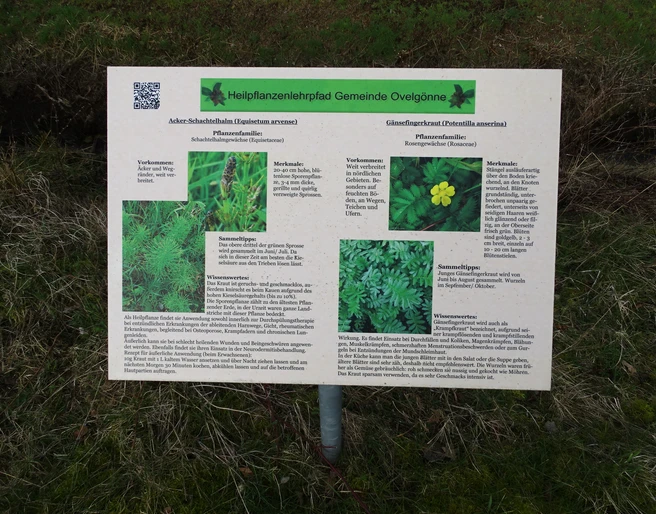 Heilpflanzenlehrpfad Informationstafel