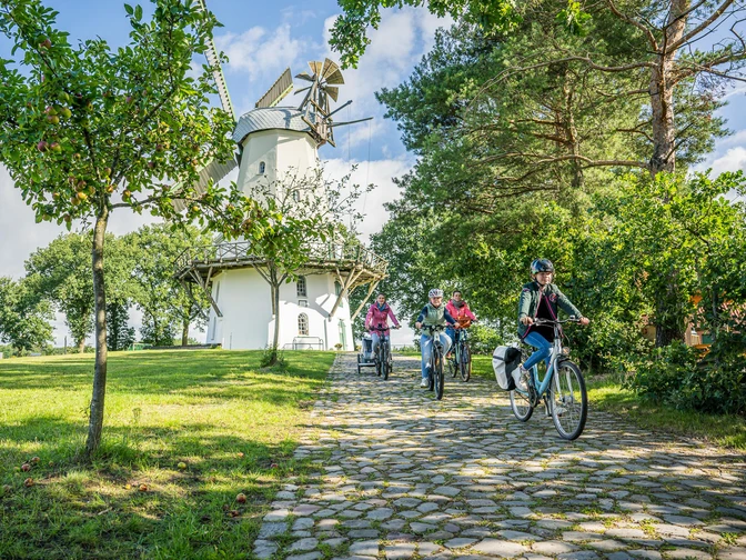 HeidekreisTour_Erlebniswelt GmbH_Markus Tiemann.jpg