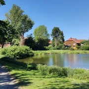 Dorfteich Stederdorf (4).jpg