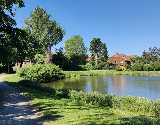 Dorfteich Stederdorf (4).jpg