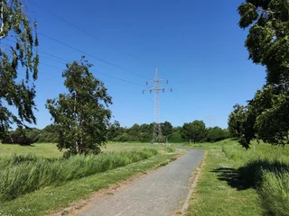 Essinghausen (2).jpg