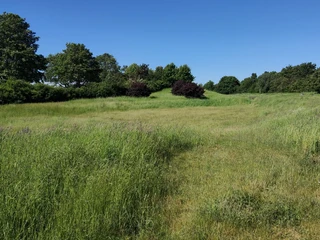 Essinghausen (3).jpg