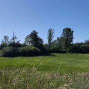 Grünzug nördl. UP2 (2).jpg