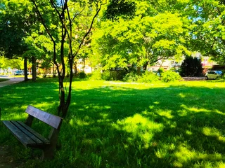 Gunzelinsiedlung (3).jpg