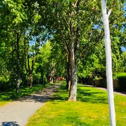 Bürgermeister-Meyer-Weg (3).jpg