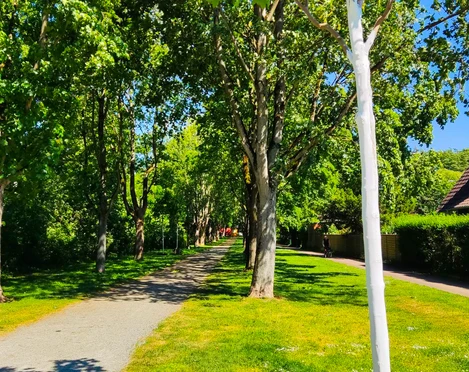 Bürgermeister-Meyer-Weg (3).jpg