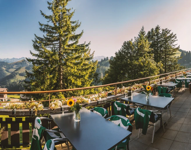 Lok7 Panoramaterasse.jpg