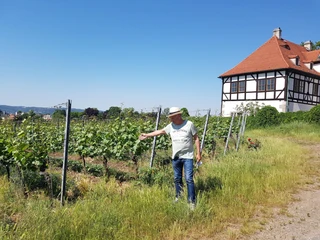 Weinbergswanderung