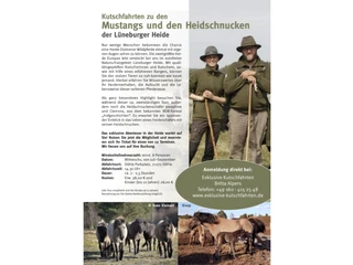 Mustang_schnucken_Britta-Alpers.jpg