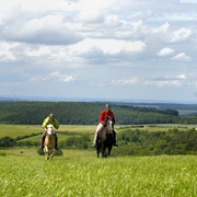 Impression Taunuslandschaft