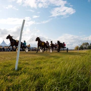 Hooksieler-Pferderennbahn_Eric Janßen.jpg
