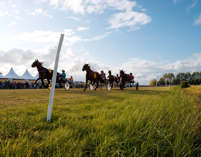 Hooksieler-Pferderennbahn_Eric Janßen.jpg