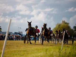 Hooksieler-Pferderennbahn2_Eric Janßen.jpg