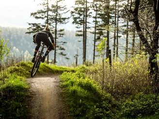 Mountainbikerin auf Trail in Willingen  Mountainbikerin auf Trail in Willingen