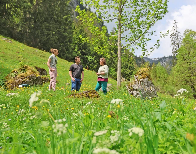 Zeitinsel in der Natur Zeitinsel in der NaturIsland of time in natureUn îlot de temps dans la nature