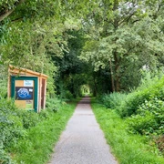 Ein schmaler, von dichtem Grün umrahmter Weg führt durch den Wald des Naturschutzgebiets Füllenbruch.