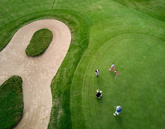 Grün 14 nah.jpeg.jpg