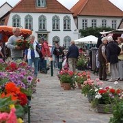 Wochenmarkt_3.jpg