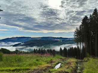 Ausblick von der Kophelle